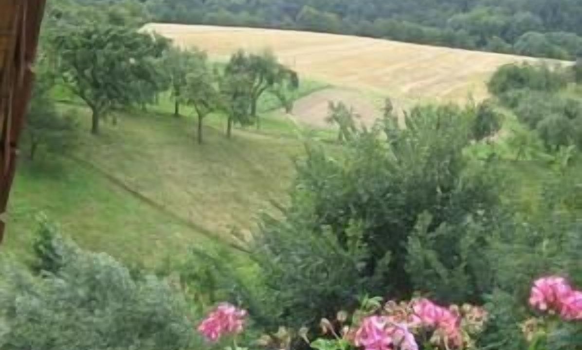 Photo of Outdoor in Schoenfeld-Weissig
