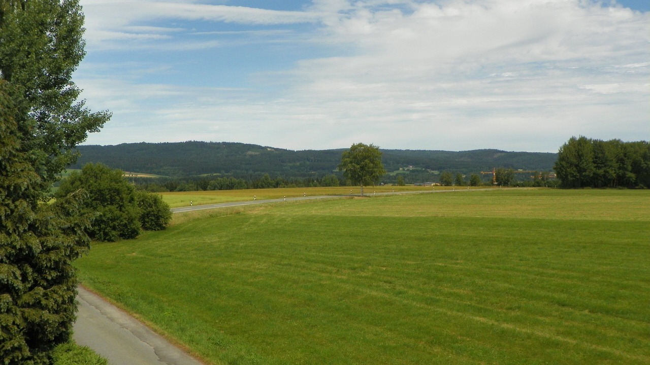 Photo of Others in Schonlind