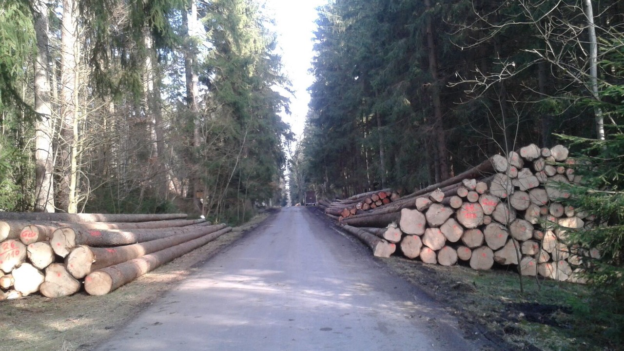 Photo of Outdoor in Selb