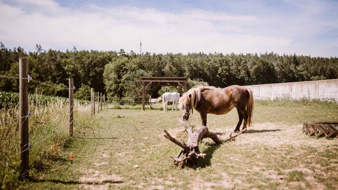 Photo of Outdoor in Haundorf