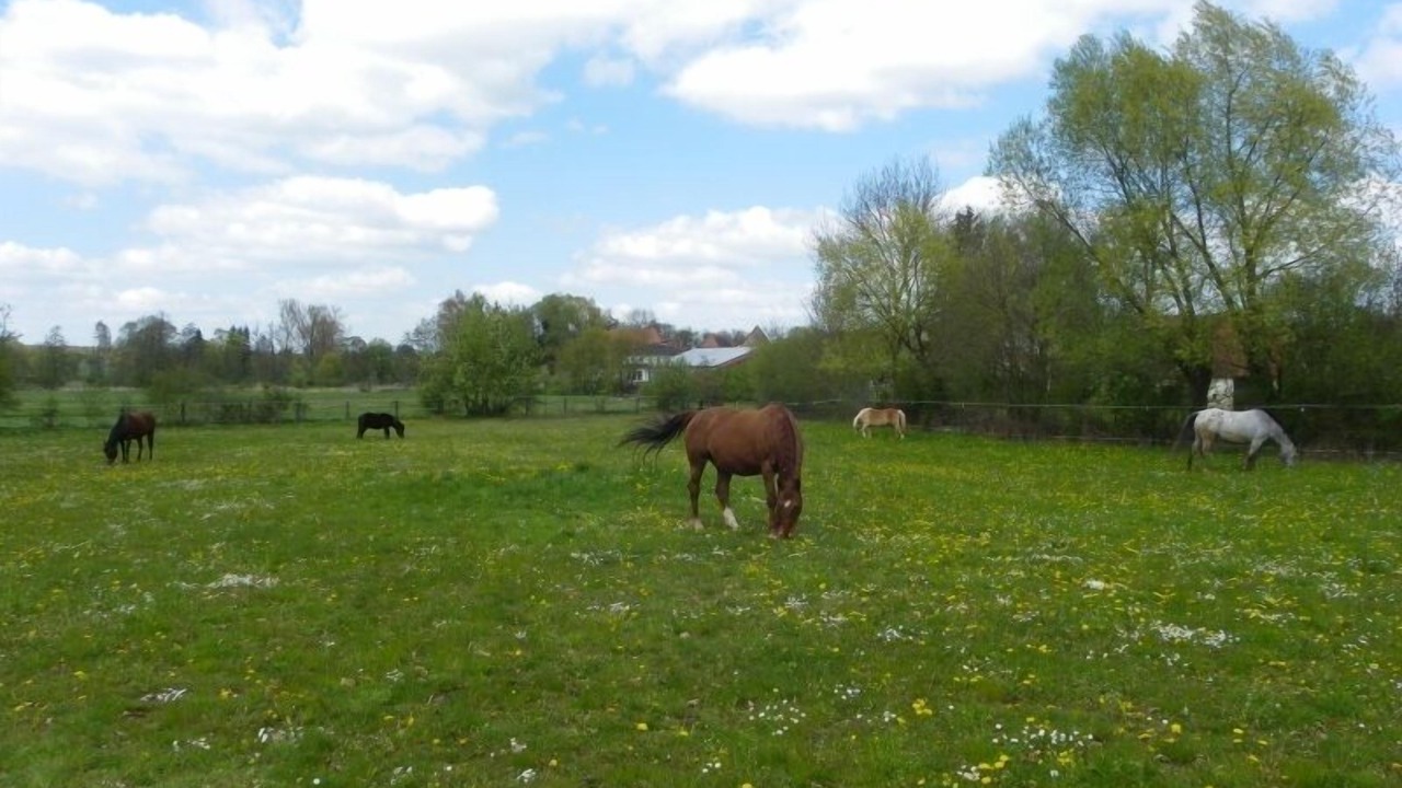 Photo of Others in Weiltingen