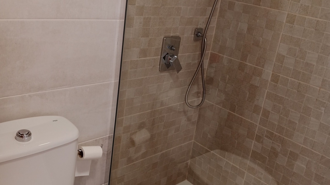 Photo of Bathroom in Nuevo Horizonte