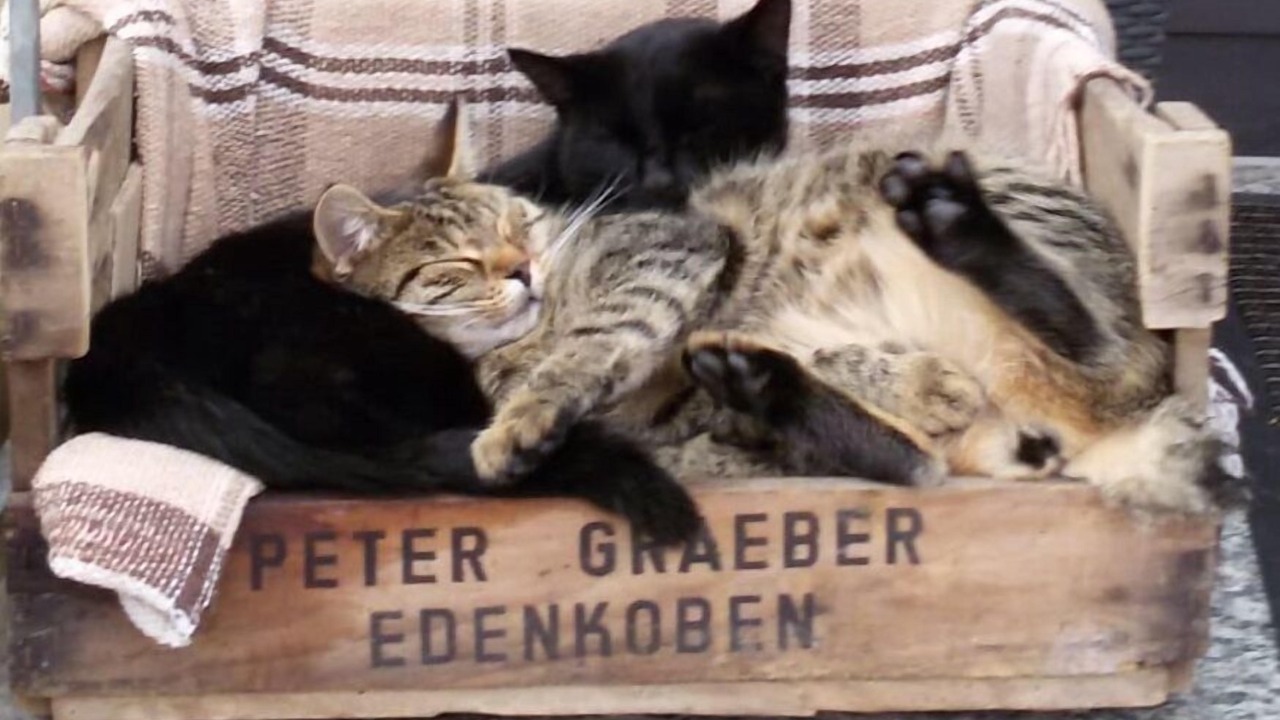 Photo of Others in Lehrberg