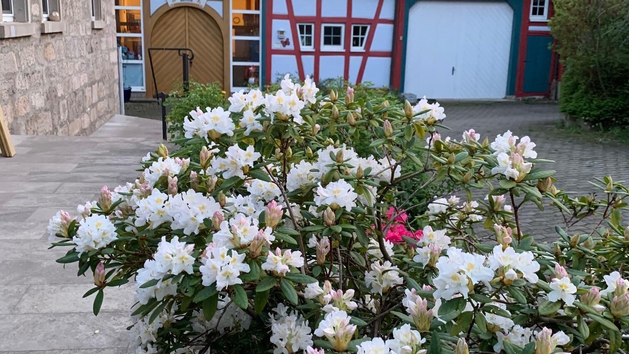 Photo of Outdoor in Nordenberg