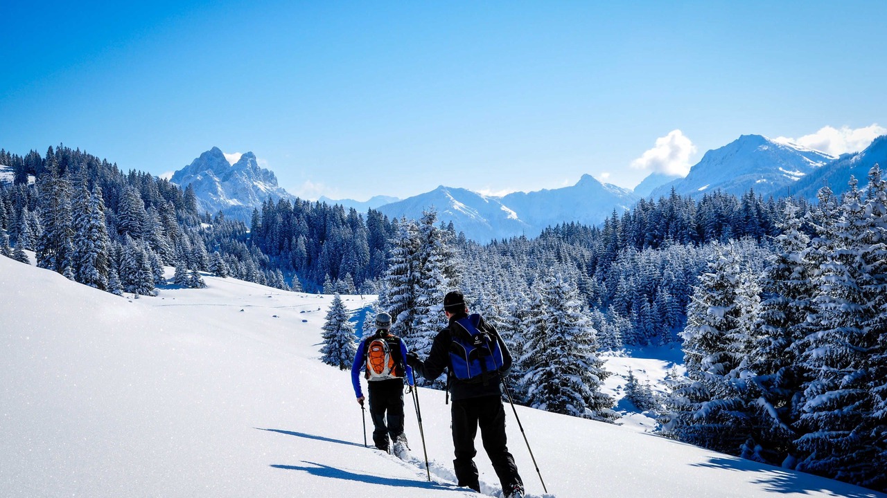 Photo of Others in Tannheim
