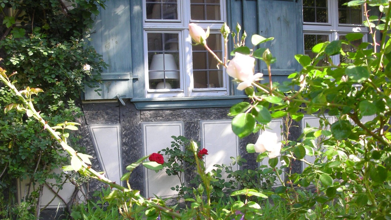 Photo of Outdoor in Geckenheim