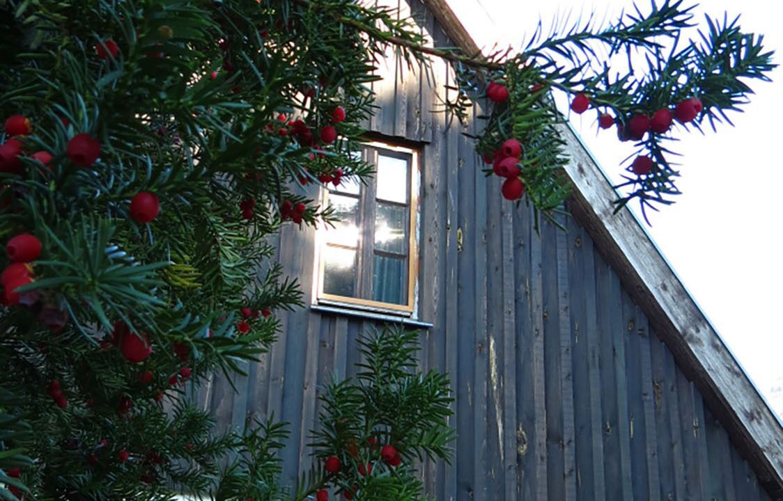 Photo of Outdoor in Krummin