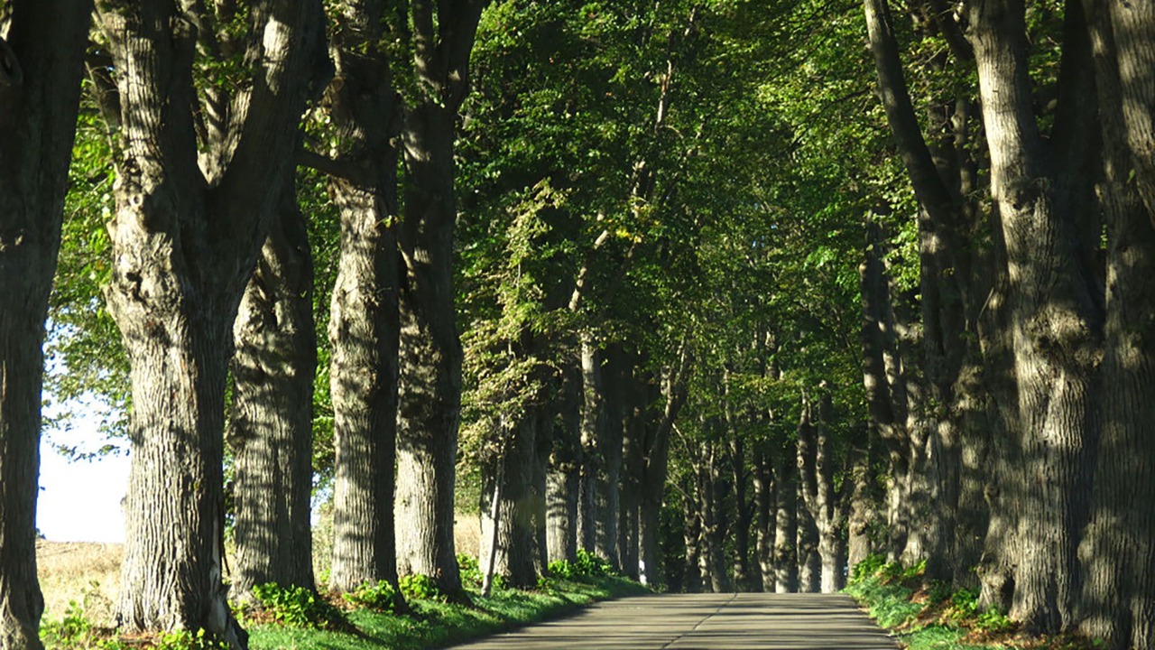 Photo of Outdoor in Krummin