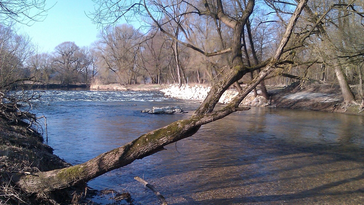 Photo of Others in Haag an der Amper