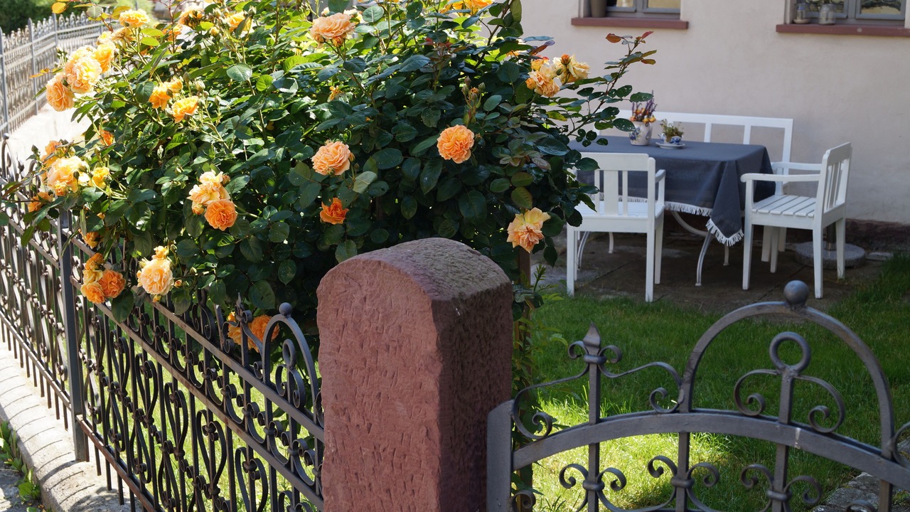 Photo of Outdoor in Ickelheim