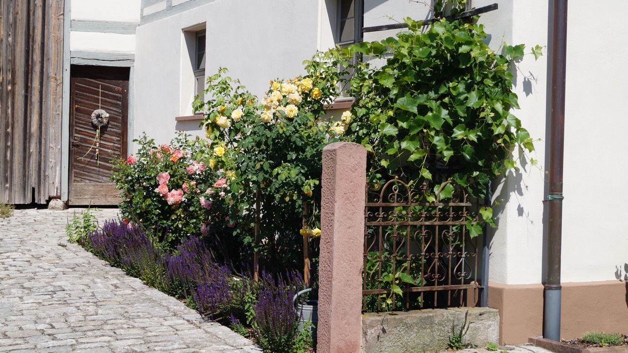 Photo of Outdoor in Ickelheim