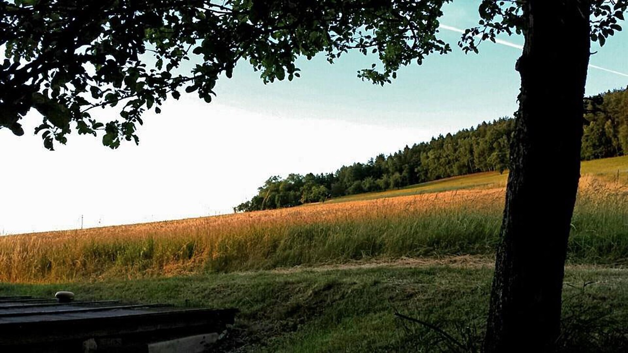 Photo of Outdoor in Mistelgau