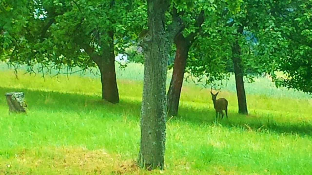 Photo of Outdoor in Mistelgau