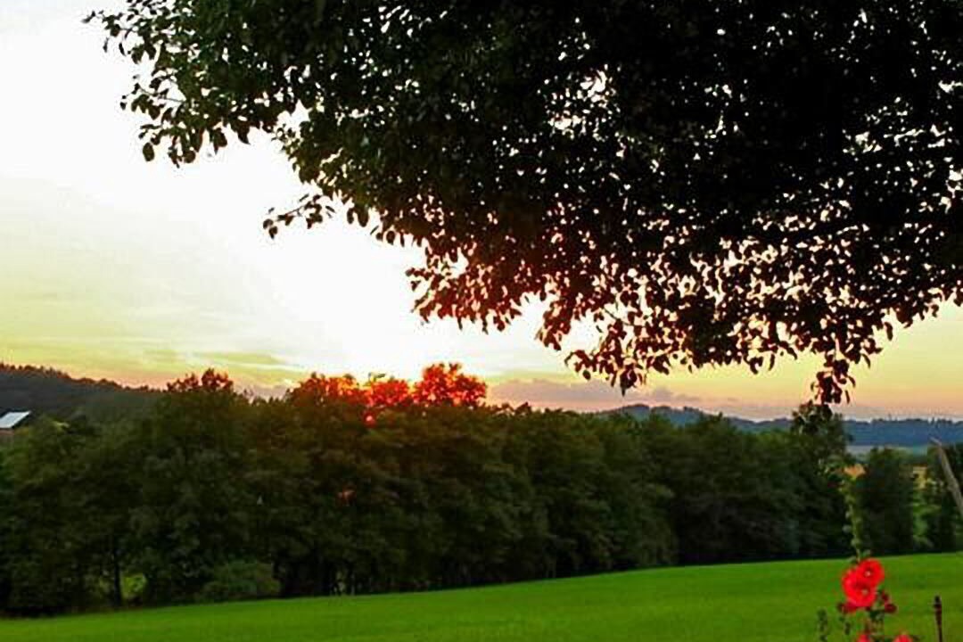 Photo of Outdoor in Mistelgau