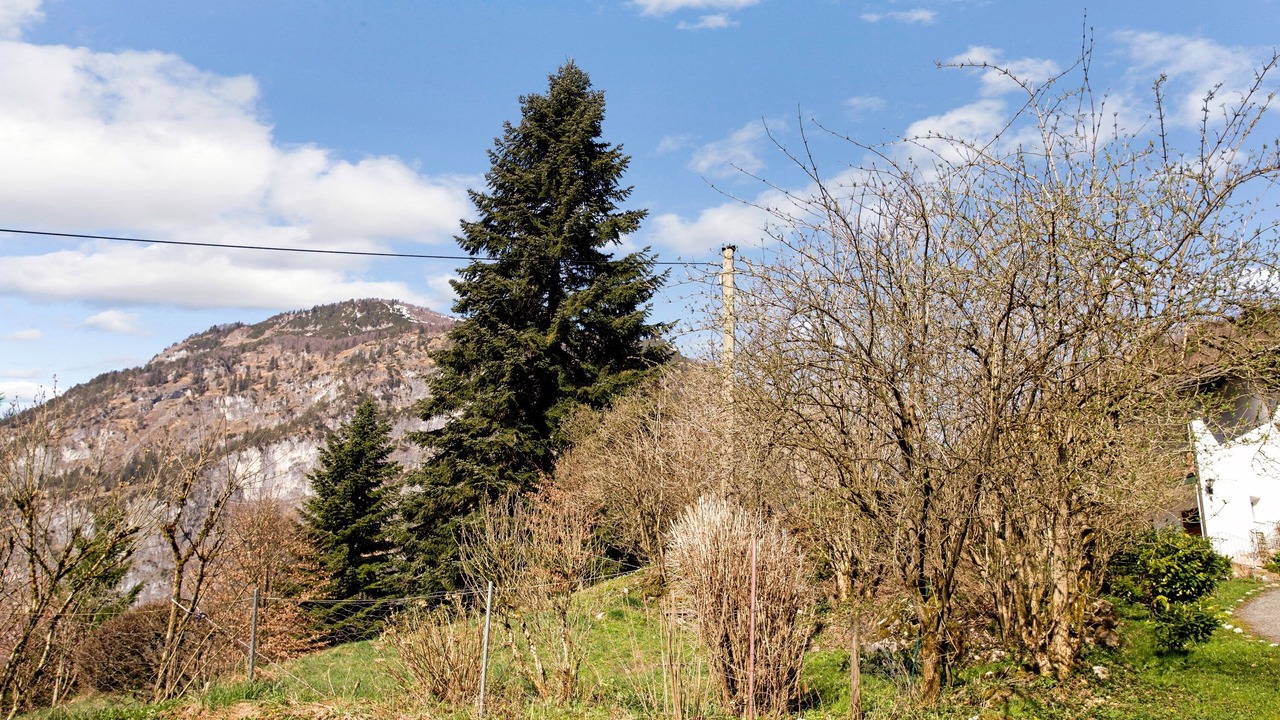 Photo of Others in Schneizlreuth
