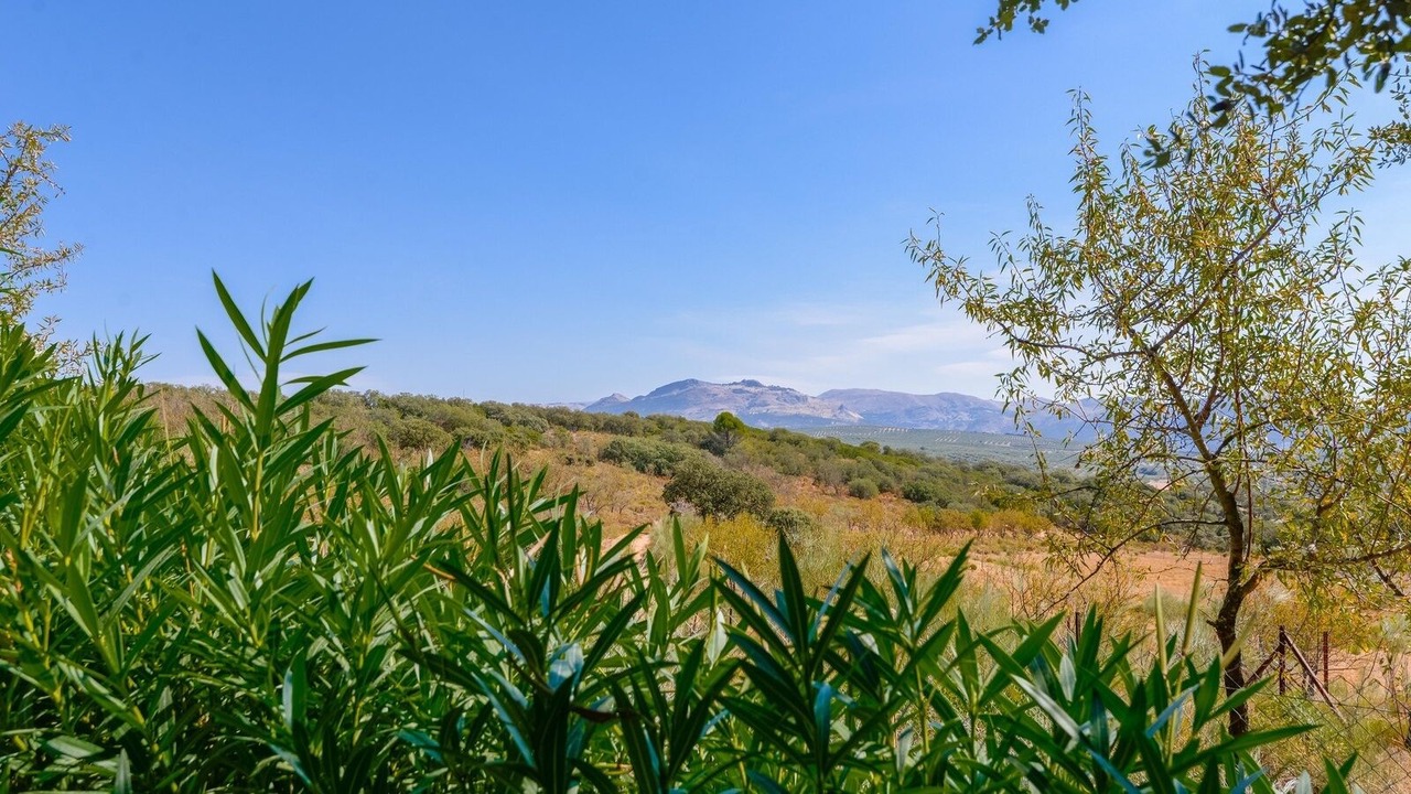 Photo of Outdoor in Archidona