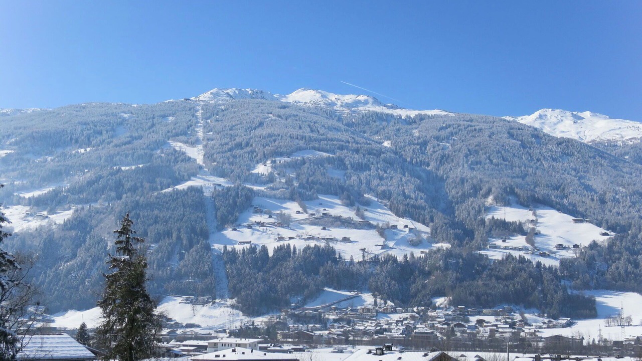 Photo of Others in Stumm