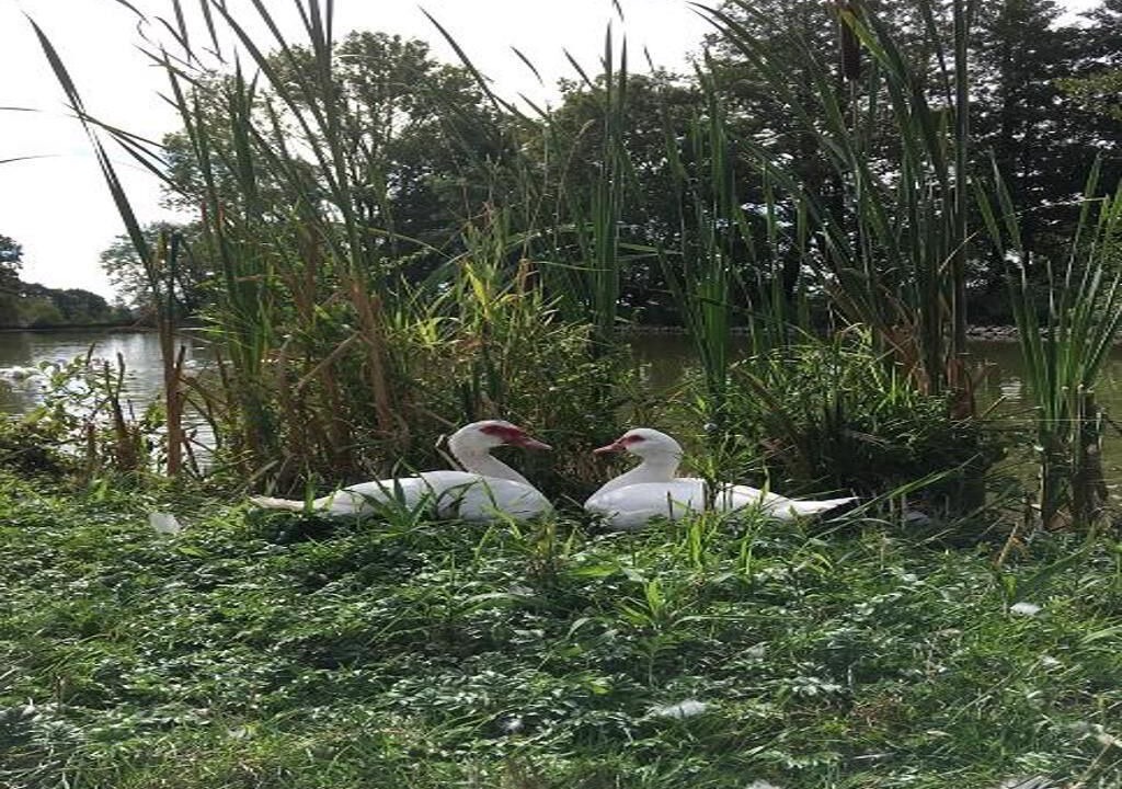 Photo of Outdoor in Leutershausen