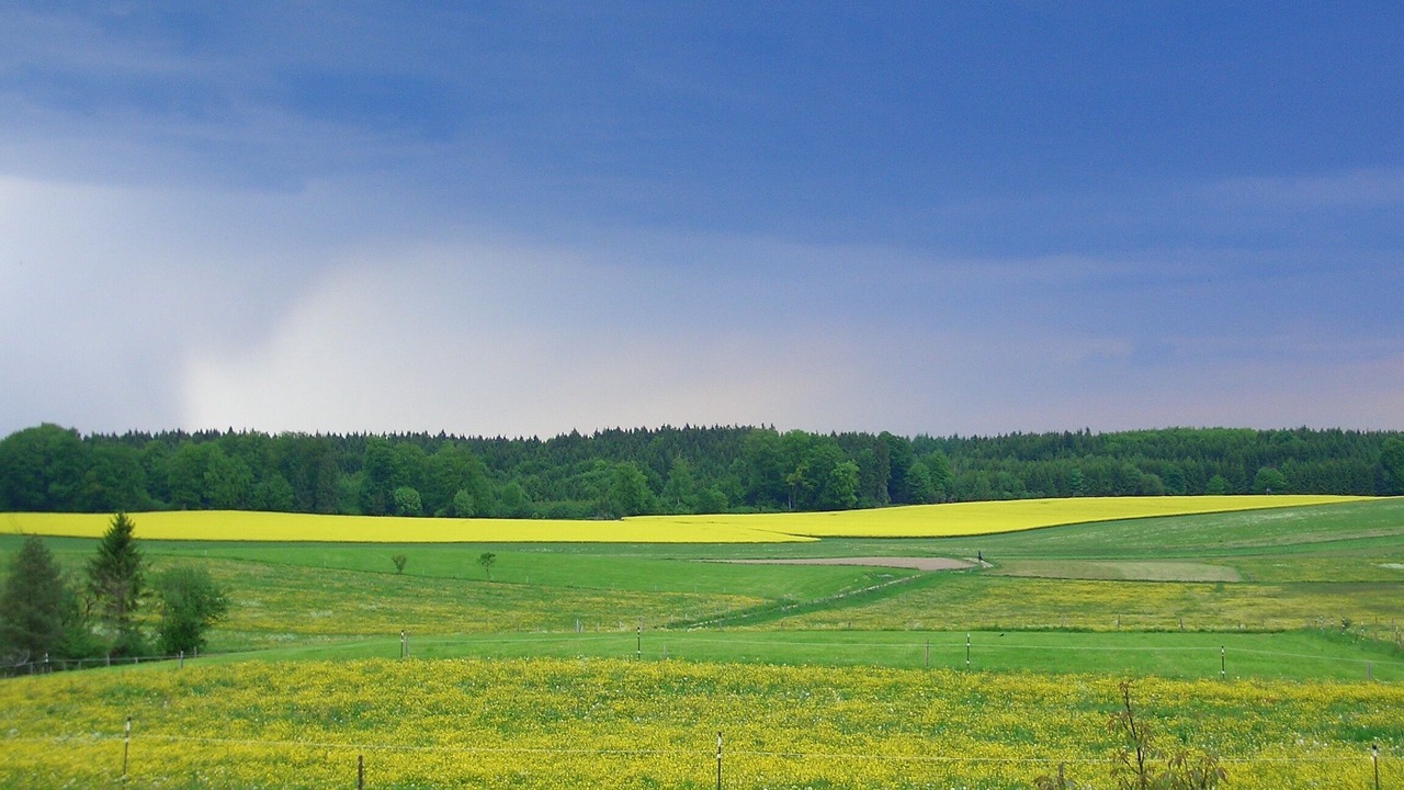 Photo of Others in Wangen