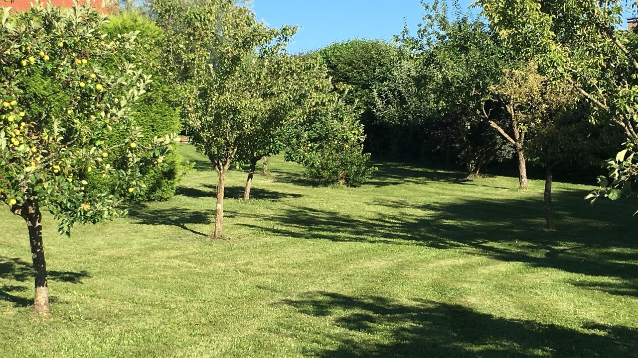 Photo of Outdoor in Wangen
