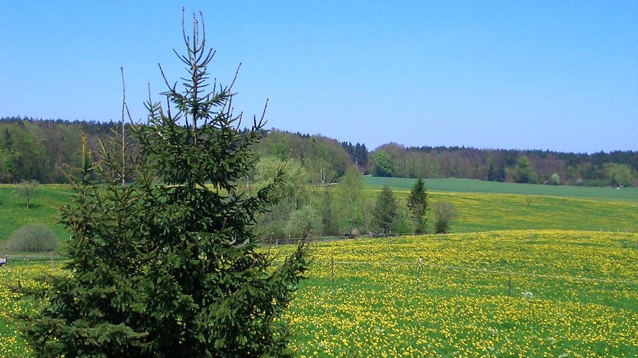 Photo of Outdoor in Wangen