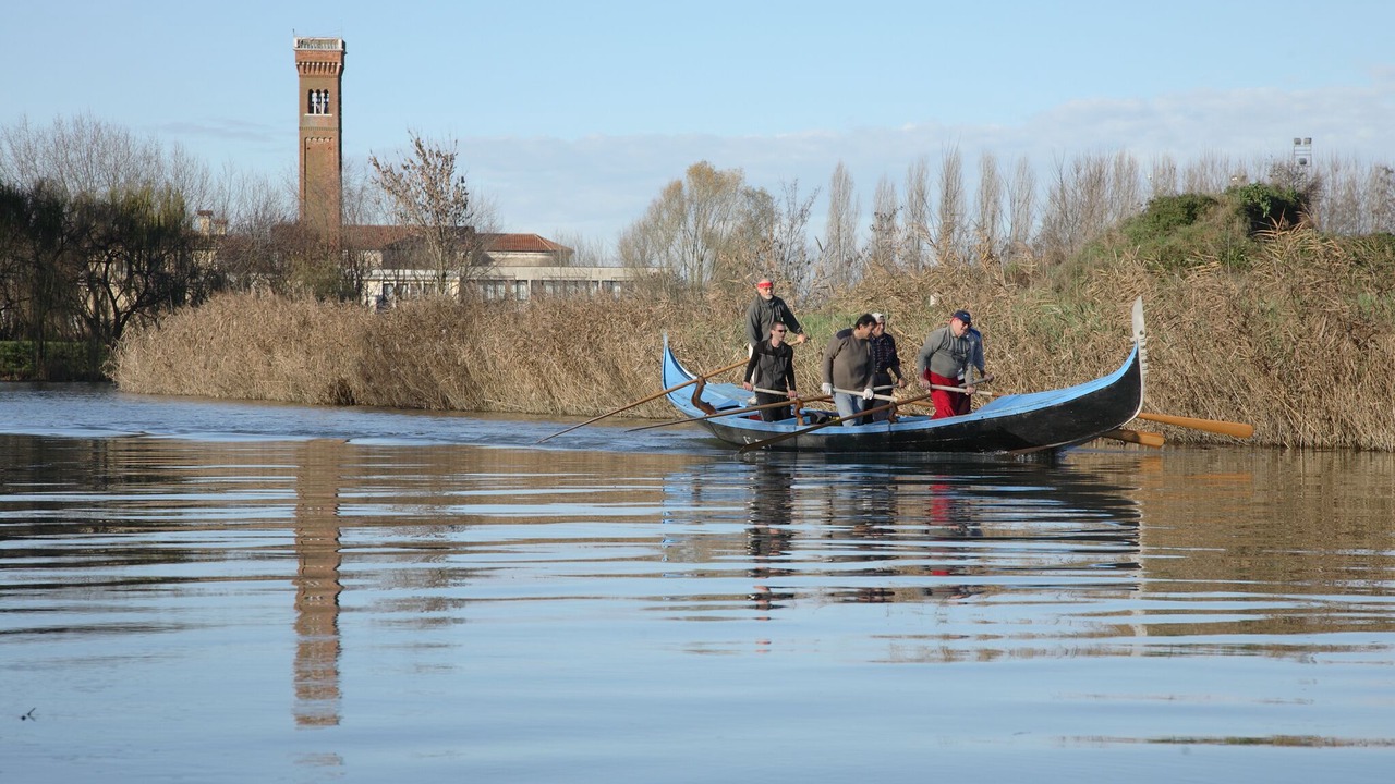 Photo of Outdoor in Portegrandi