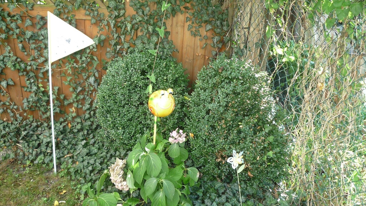 Photo of Outdoor in Funfstetten