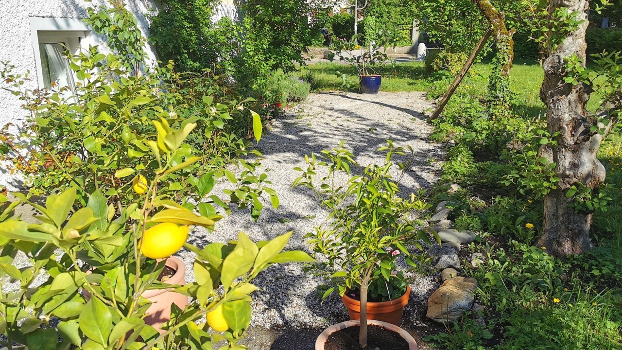 Photo of Outdoor in Bad Reichenhall