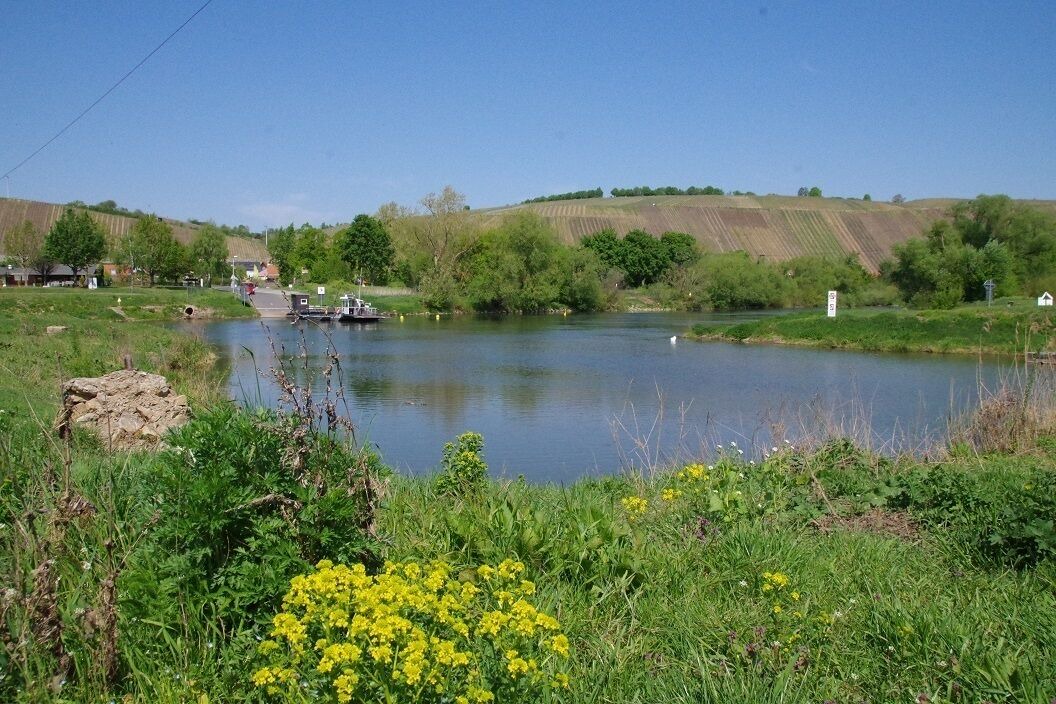 Photo of Others in Nordheim a. Main