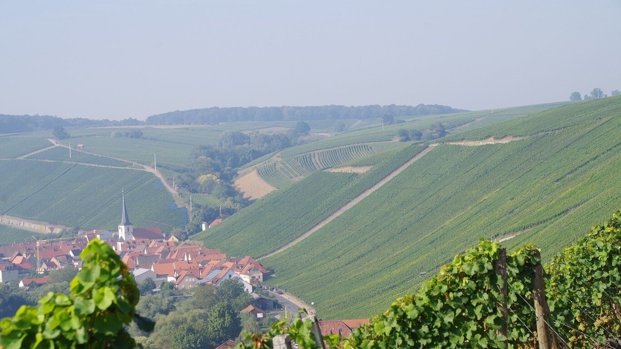 Photo of Others in Nordheim a. Main