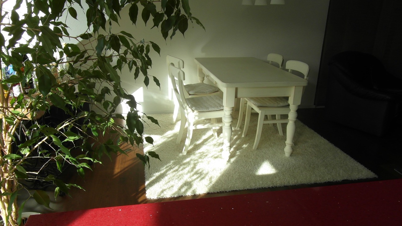 Photo of Others in Seidmannsdorf