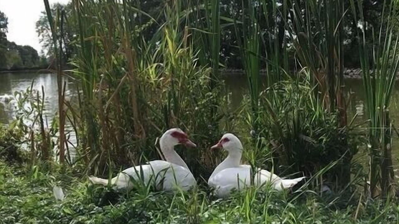 Photo of Outdoor in Leutershausen