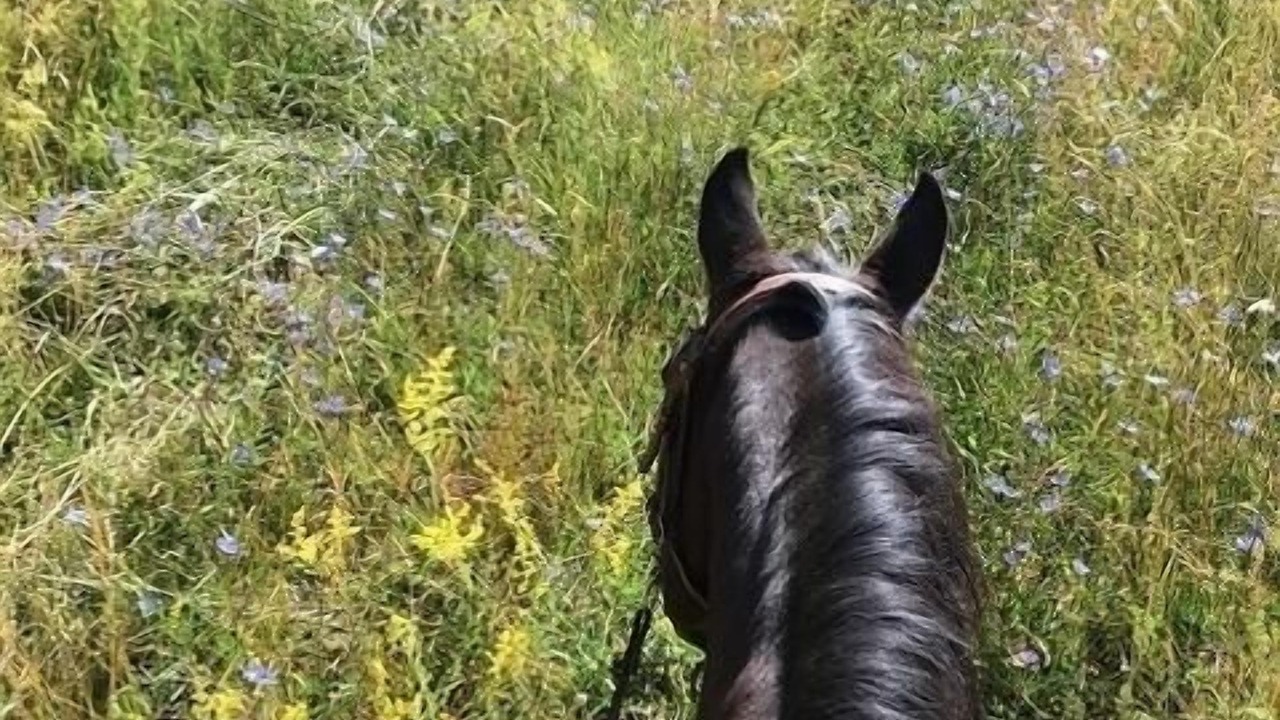 Photo of Outdoor in Leutershausen