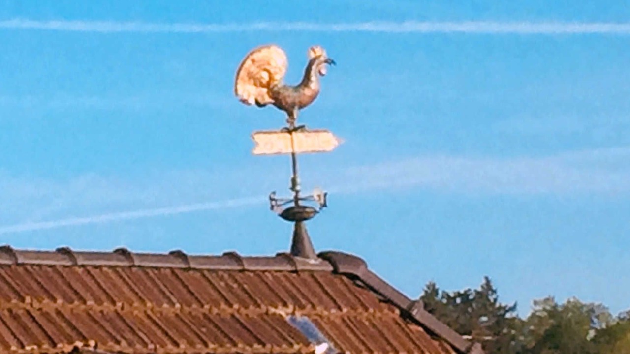 Photo of Others in Marktheidenfeld