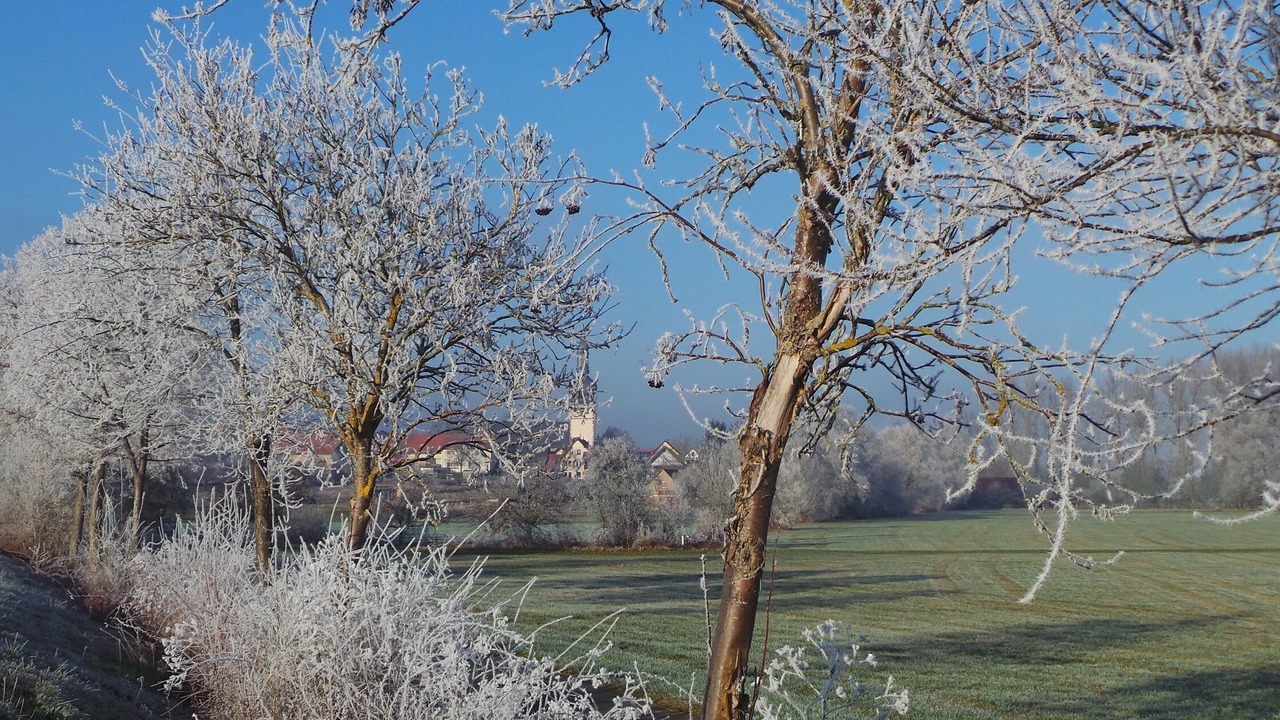 Photo of Outdoor in Tauberbischofsheim