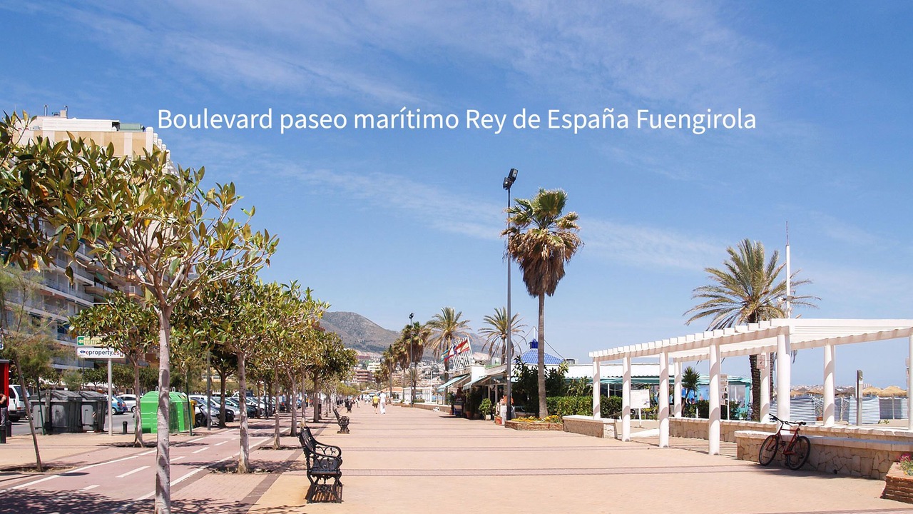 Photo of Others in Torreblanca