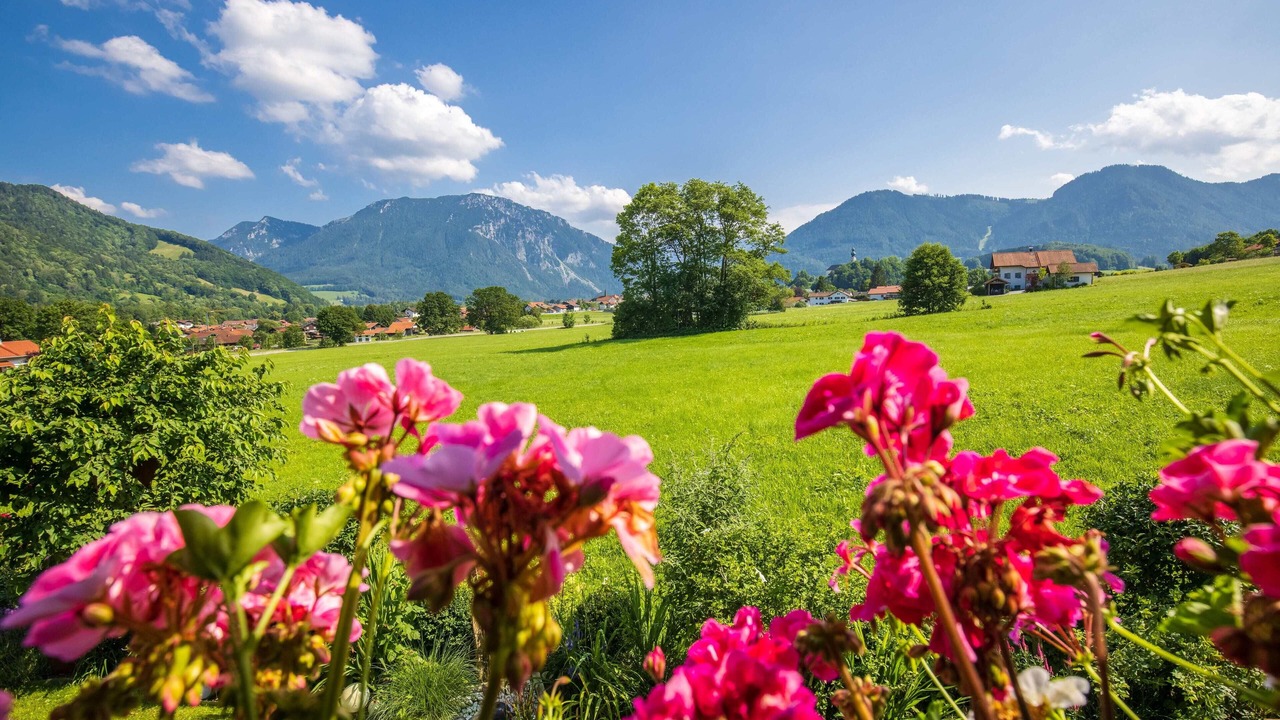 Photo of Outdoor in Bibelod