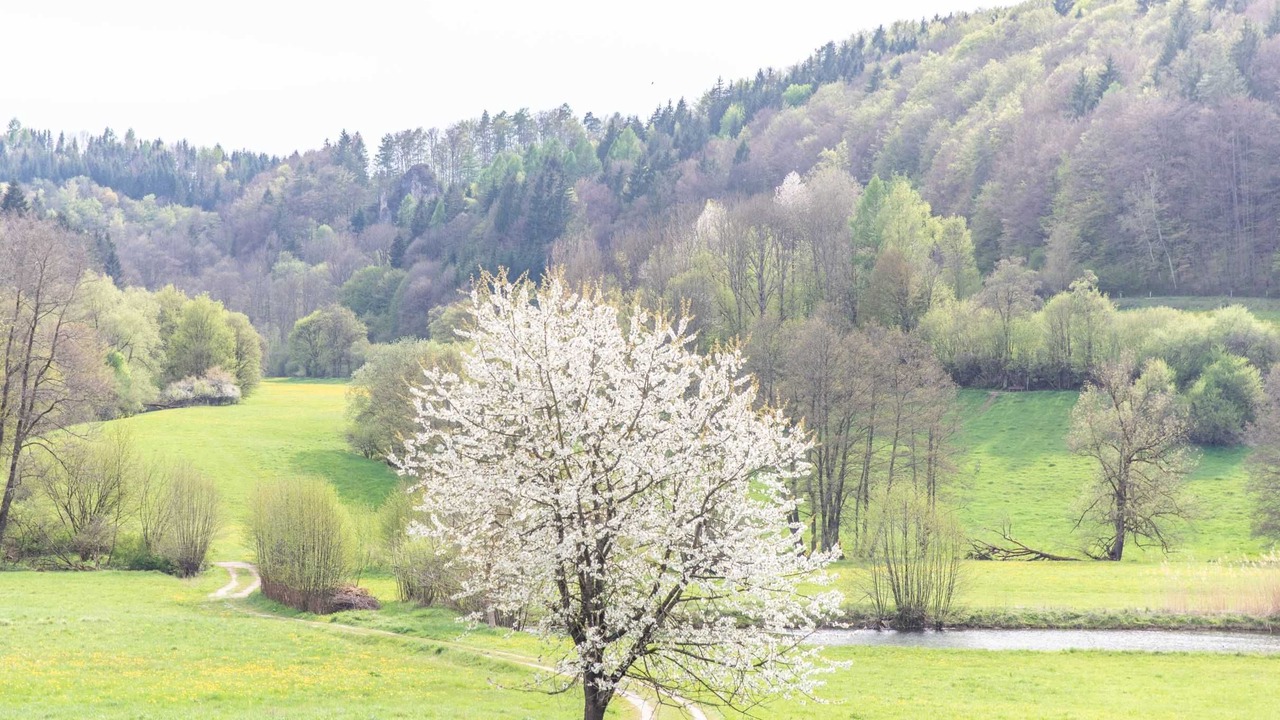 Photo of Others in Affalterthal