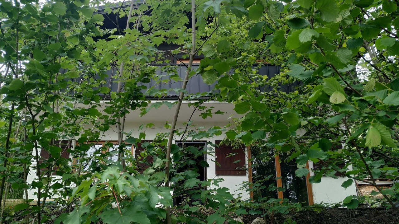 Photo of Outdoor in Affalterthal