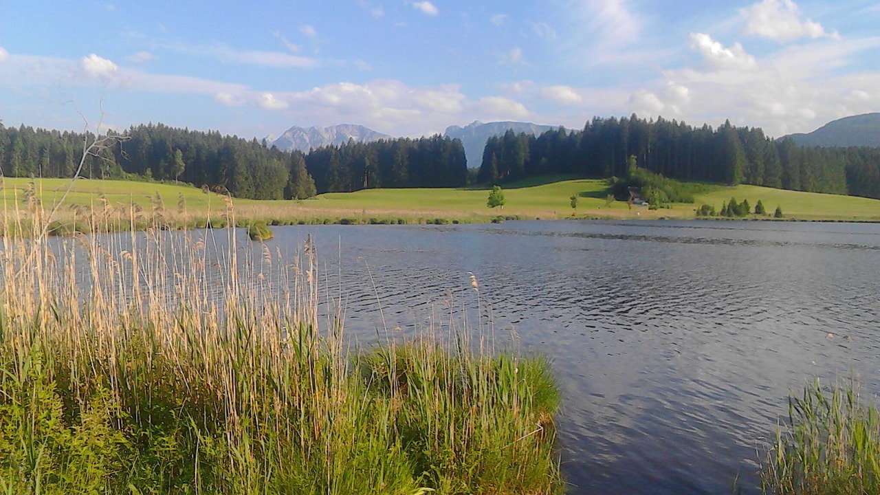 Photo of Others in Seeg