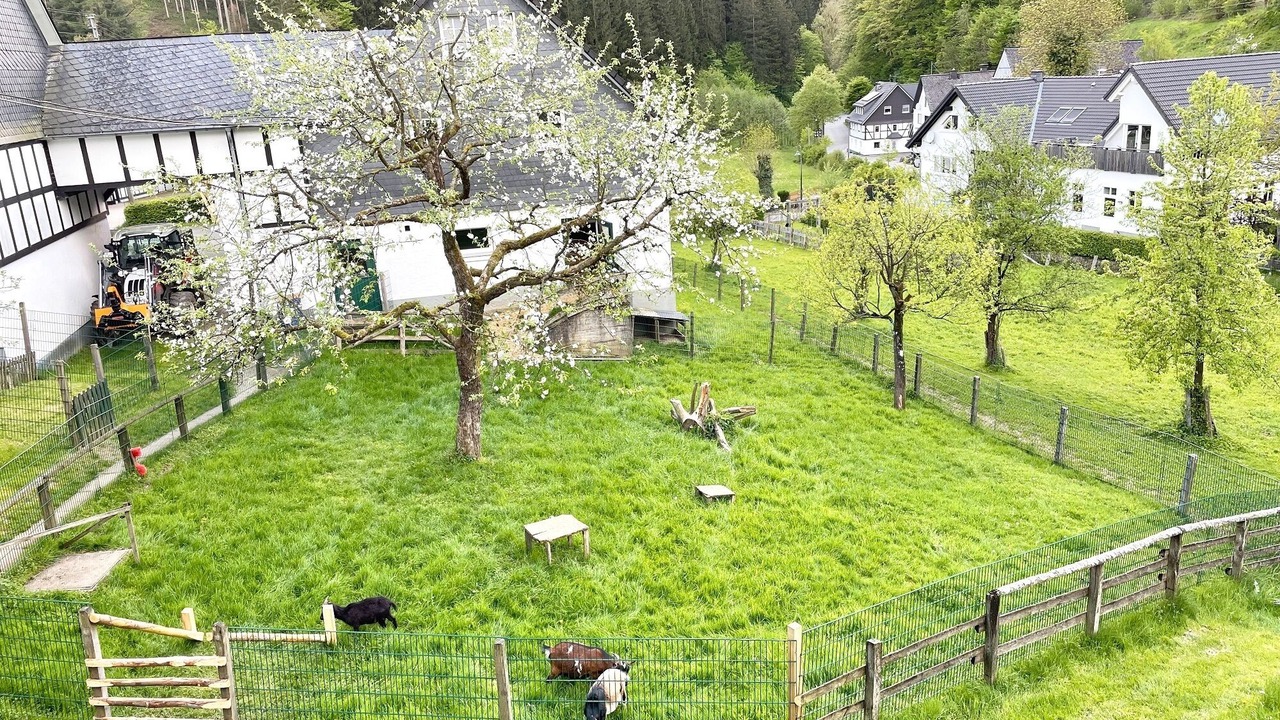 Photo of Outdoor in Kickenbach