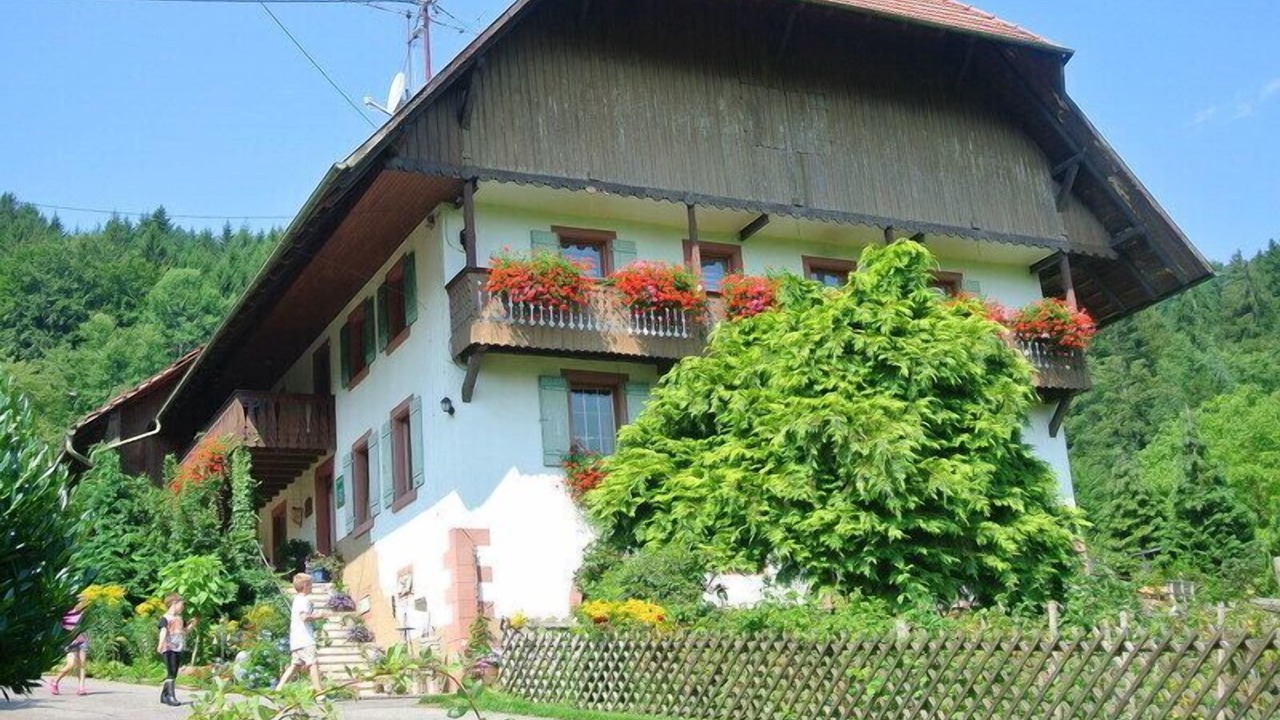 Photo of Outdoor in Seelbach