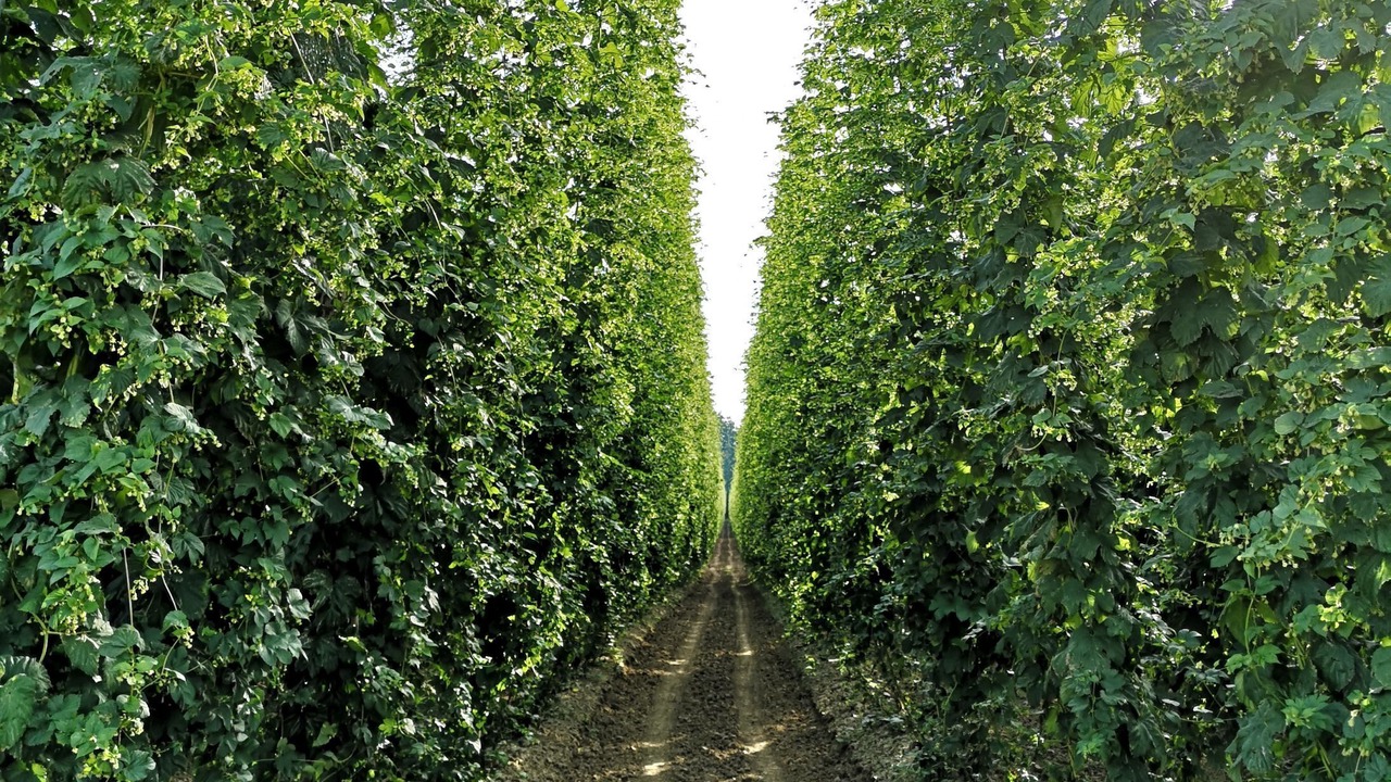 Photo of Outdoor in Bad Goegging