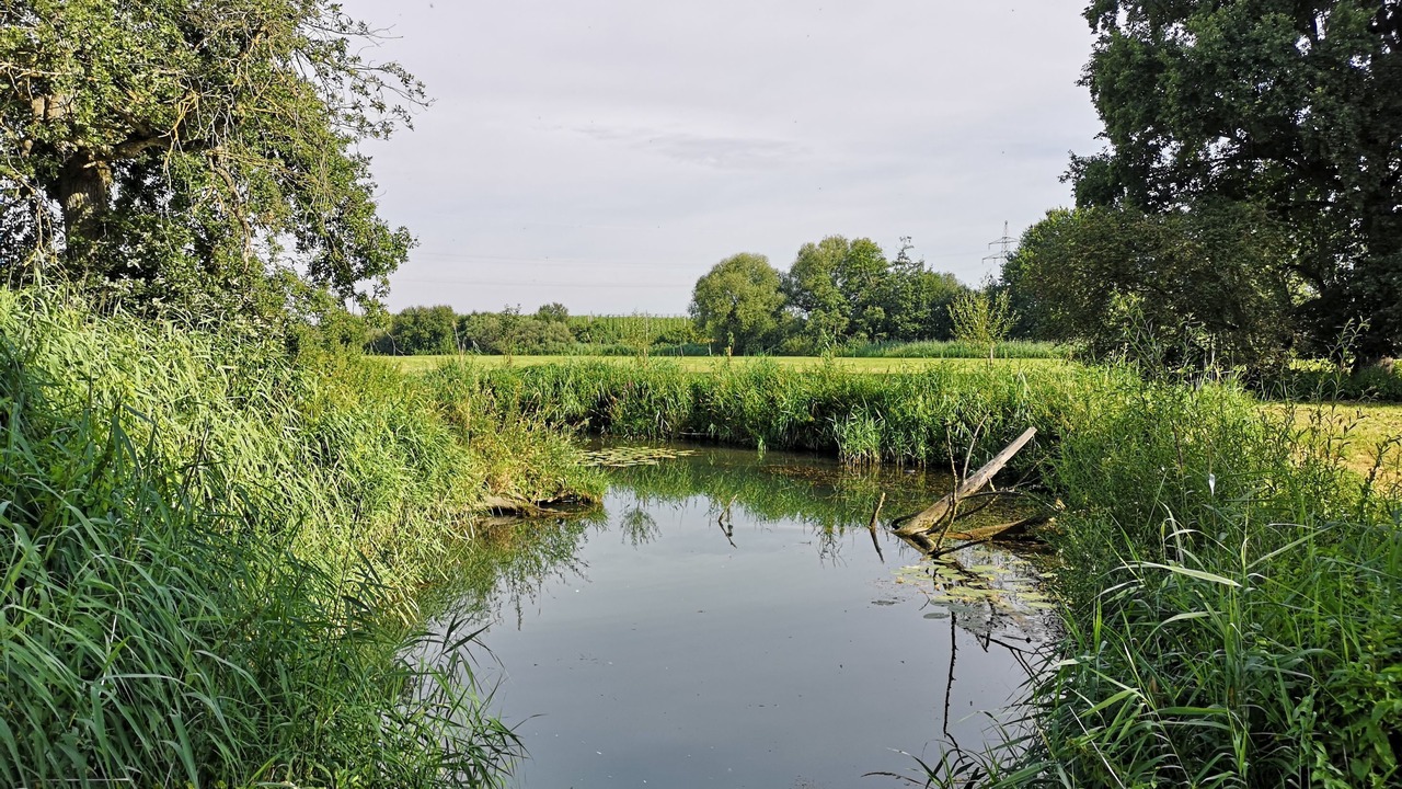 Photo of Outdoor in Bad Goegging
