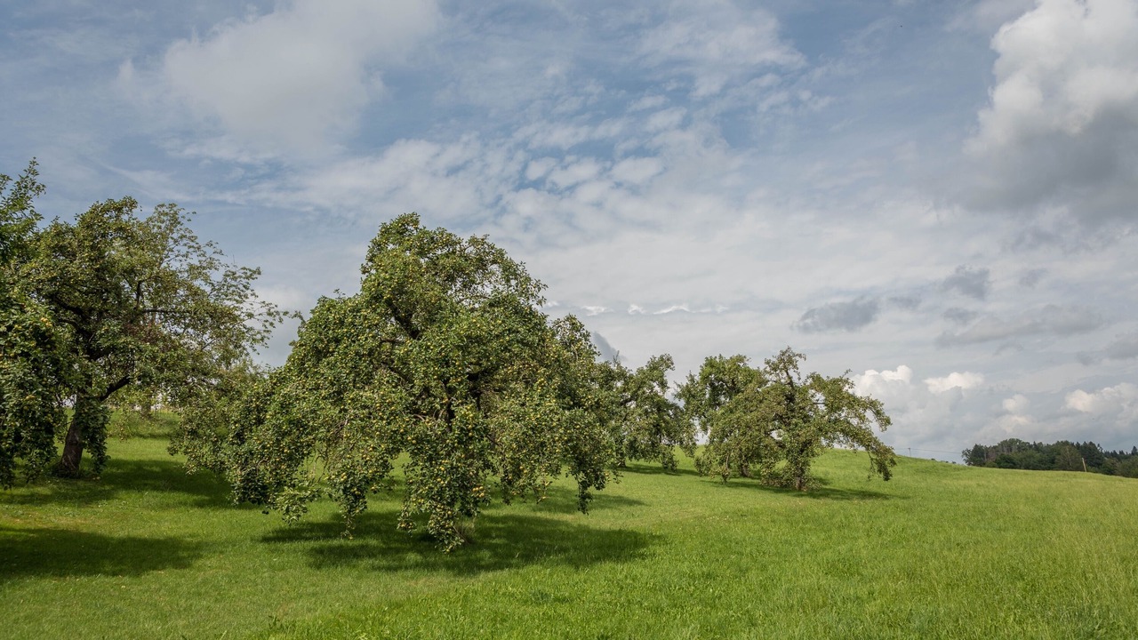 Photo of Others in Sigmarszell