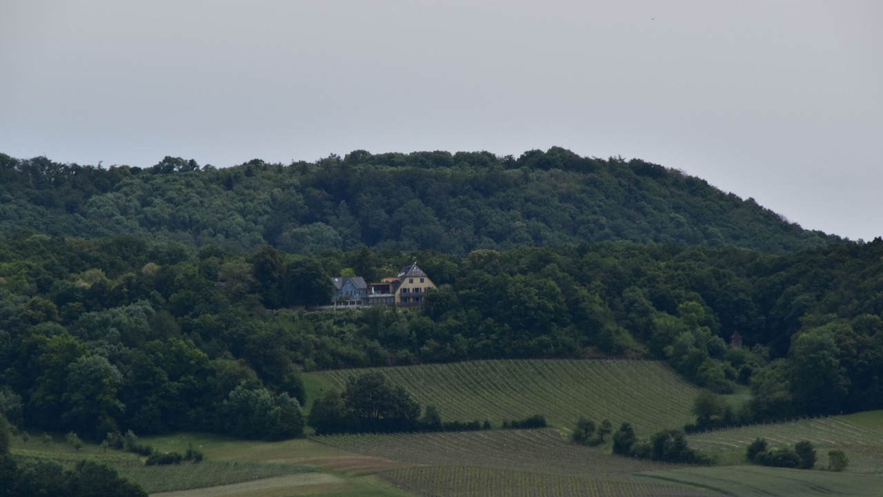 Photo of Others in Dingolshausen