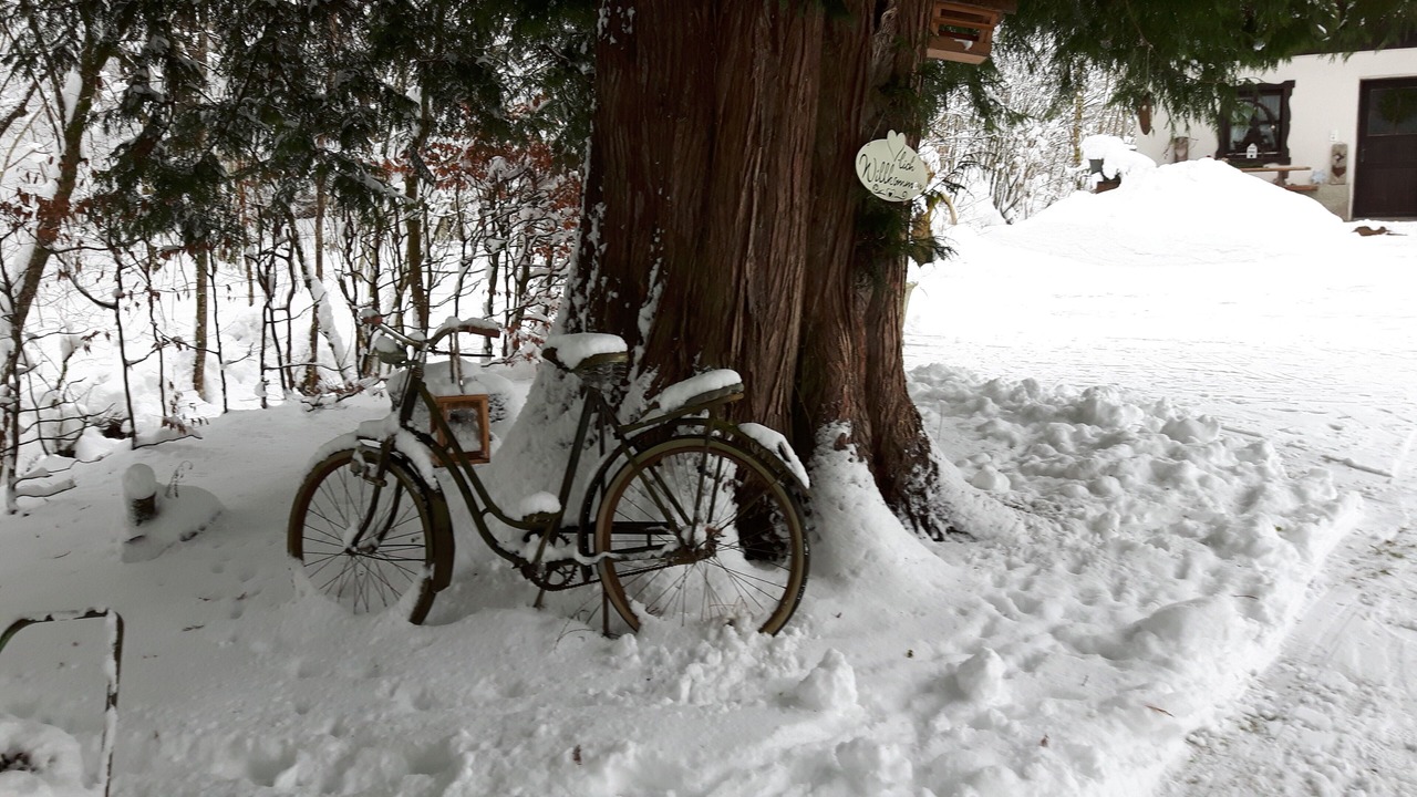 Photo of Outdoor in Schneizlreuth