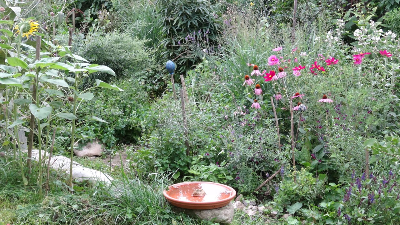 Photo of Outdoor in Pittenhart