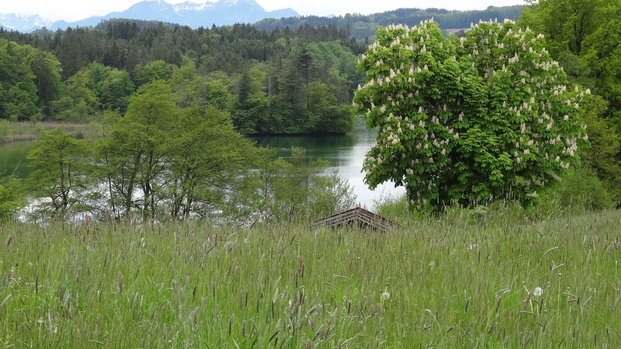 Photo of Others in Pittenhart