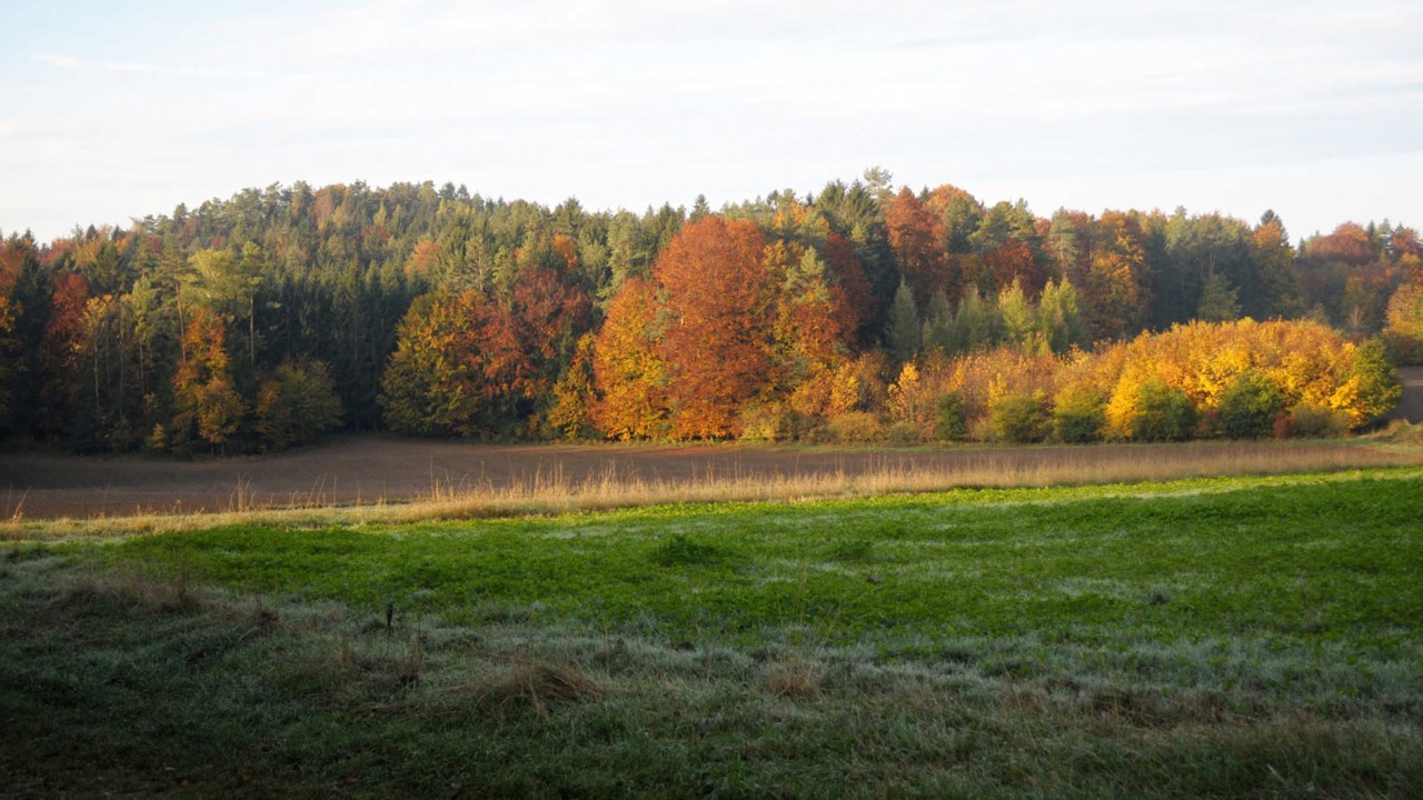 Photo of Others in Obertrubach